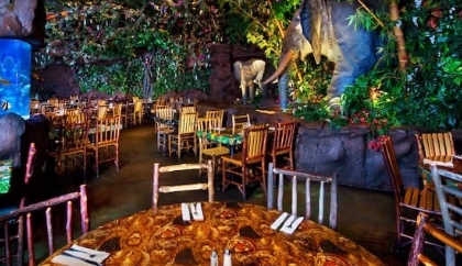 animal kingdom table service