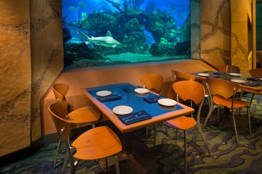 coral reef epcot