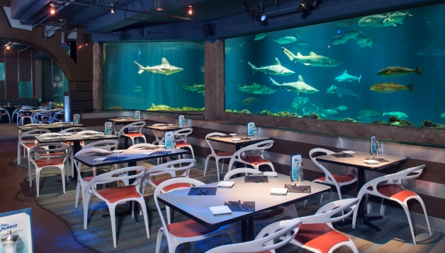 seaworld magical dining