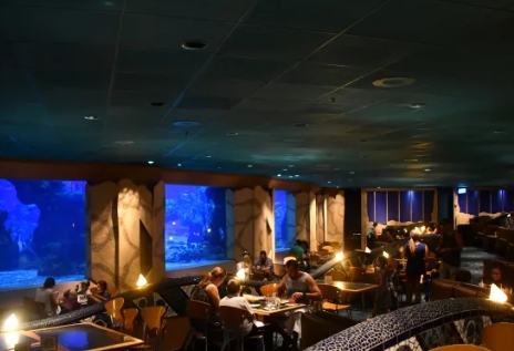 coral reef restaurant epcot