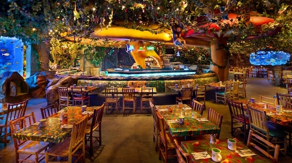 animal kingdom dinner