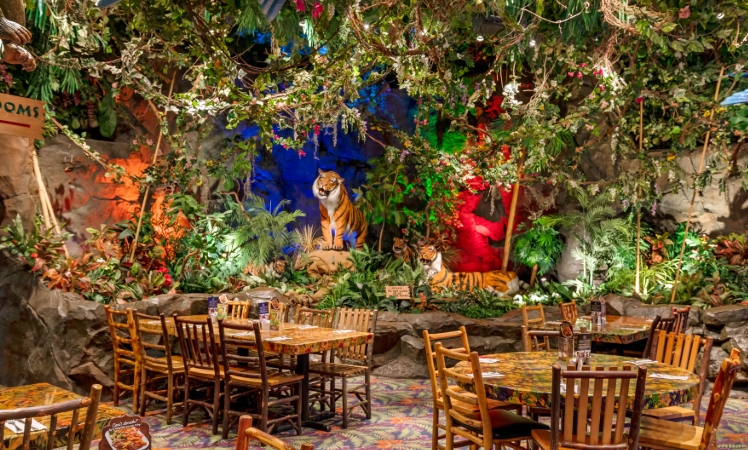 jungle theme cafe