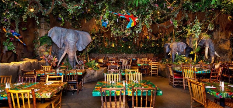 the rainforest cafe near me