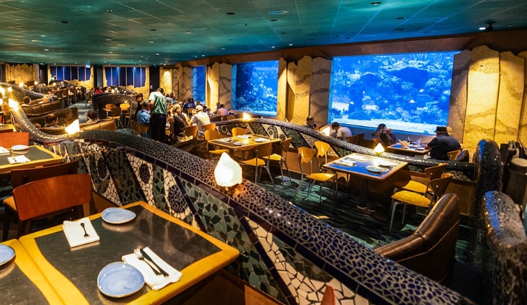 under the sea restaurant disney