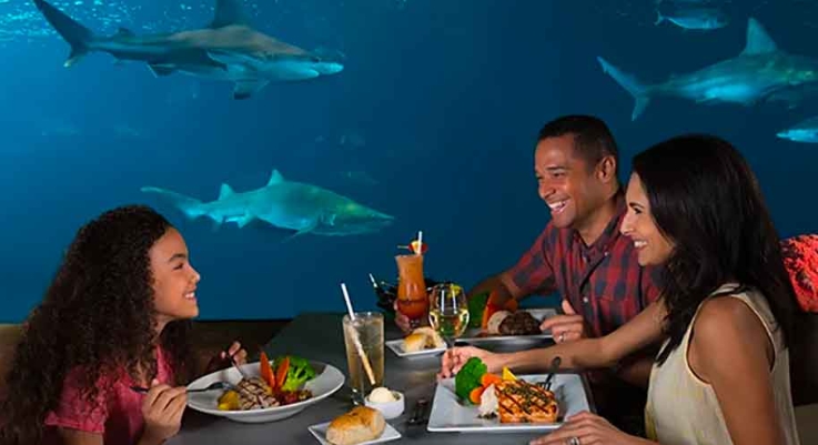 underwater restaurant seaworld